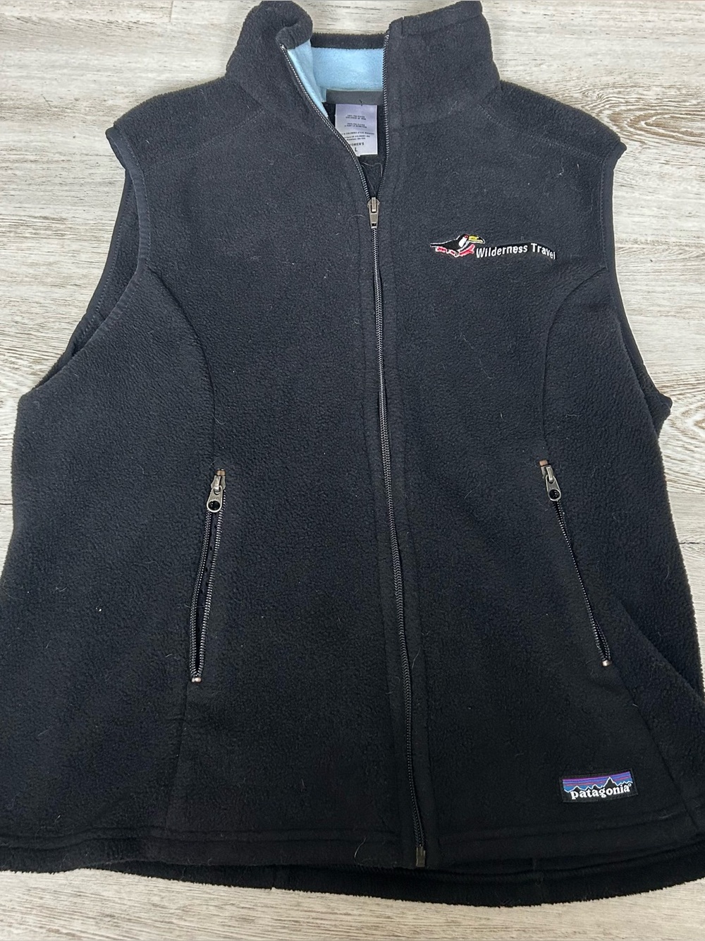 Patagonia Synchilla Fleece Vest